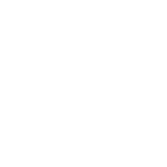 flieger_icon_neg.png